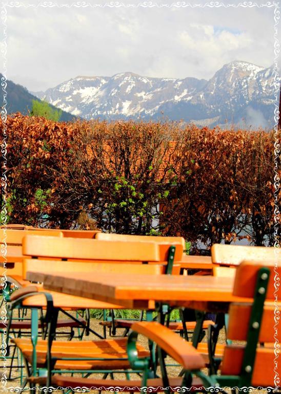 Hotel Alpenblick Berghof Halblech Esterno foto